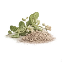 Tulsi (Holy Basil)